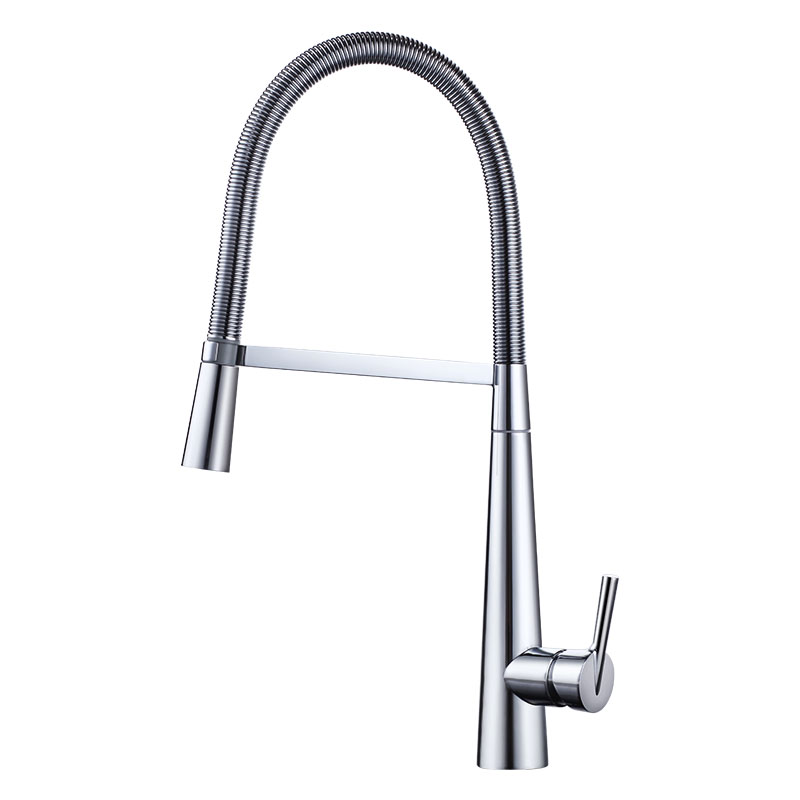 Robinet de cuisine gastronomique de luxe de bobine de ressort d'acier inoxydable solide avec le pulvérisateur en métal 2 5 Solid Stainless Steel Luxury Gourmet Spring Coil Kitchen Faucet With Metal Sprayer 1