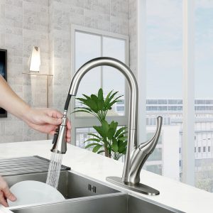 Les États-Unis élargissent les normes d&rsquo;économie d&rsquo;eau pour les pommes de douche et les toilettes