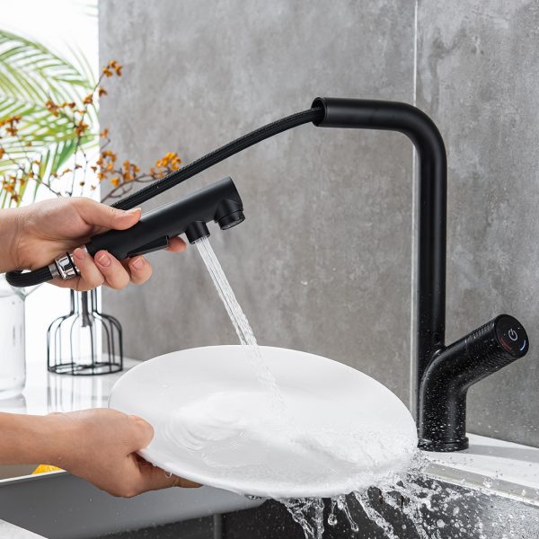 Modern Kitchen Faucet with Pull Out Multi Flow Sprayer Matte Black 1