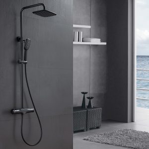 Fixation murale thermostatique de douche en acier inoxydable noir mat 2 fonctions avec pulvérisateur à main